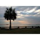 Charleston: : The Waterfront Park