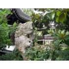 Portland: : Portland's Chinese Garden