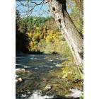 Tellico Plains: : Tellico River along the side of the Cherohala Skyway