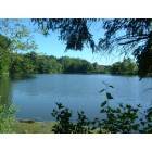 Clifton Park: Clifton Knolls Lakes