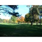 Clifton Park: Clifton Knolls Golf