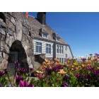Mount Hood: Bright Blooms at the Entrance to Timberline Lodge, Mt Hood