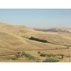 Goldendale: View from the Upper Hills of Goldendale