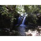 Timberon: Waterfall in Timberon