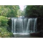 Long Creek: Brasstowne Falls is a series of falls off Hwy 76, in the Long Creek mailing area. About a six minuet slow walk from parking area, will take you to the top of the main falls. The best views are down paths along side the falls.