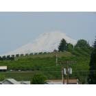 Odell: Mount Adams from downtown
