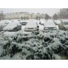 Columbia: During snow fall of 2006...parking lot view from our office