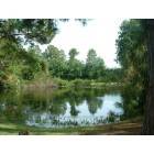 Holiday: Cypress Lake Park Pond