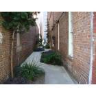 Jacksonville: : Alley downtown