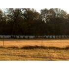 McLoud: Cylinder shaped bales of hay, on a farm north side of McLoud