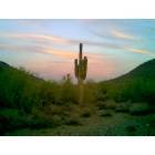 Phoenix, AZ : Encanto Park, Phoenix. photo, picture, image (Arizona) at ...