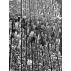 Manhattan: A birdseye view of the Big Apple