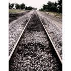 Walshville: The railroad tracks in Walshville