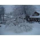 Highland: : GROVE STREET HIGHLAND NEW YORK (SNOW)