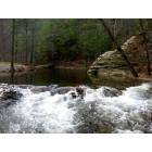 Vonore: CITICO CHEROKEE NATIONAL FOREST