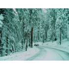 Snow at  Pollock Pines