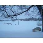 Baudette: Willie Walleye Park in the winter, Baudette, MN