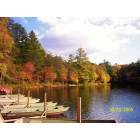 Crossville: : The Lake at Cumberland Mountain State Park near Crossville