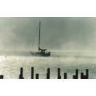 Harbor Springs: : Early morning mist on the harbor 20077