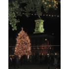 Greencastle: : The Lighting Of The Tree 2007