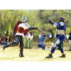 Farmington: : Renaissance Fair Sword Fight 3