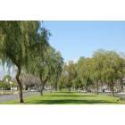 Ontario: : Euclid Avenue by the 60 Freeway.