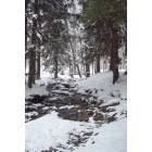 Pittsfield: : Pittsfield State Forest