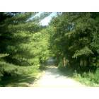 Fulton: : Callaway County Covered Road
