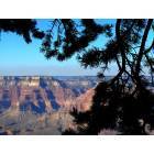 West Paterson: : Grand Canyon