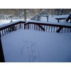 Tuftonboro: Where is the deck? Snow Fall 2008