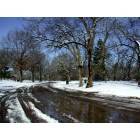 Stillwater: : Winter in Couch Park