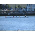 Eureka: : Come to the Bay for the rowing