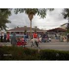 Perris: Christmas Parade - Two Great Danes with antlers