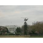Washington: : President's helicopter landing at the White House.