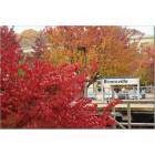 Bronxville: Bronxville in Fall Greets Visitors Arriving by Train