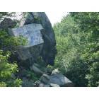 Freetown: Profile rock (freetown forest)
