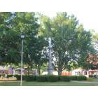 Cuthbert: : Cuthbert Town Square with Confederate Memorial