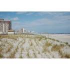 Atlantic City: : Beach and Dunes
