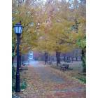 Newark: : Pathway in front of library at University of Delaware