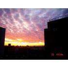 Bronx: bronx sky