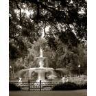 Savannah: Forsyth Park, Savannah, GA