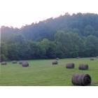 Tellico Plains: : Hay bales harvested for winter months to come taken in Monroe County-seen taken on a motorcycle ride.