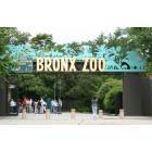 Bronx: bronx zoo