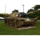 Mulberry Grove: : The tank in front of the community center