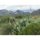 Las Cruces: : Aguirre Spring Picnic Area and Campground, east slope of the Organ Mountain range, off Highway 70
