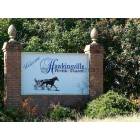 Hawkinsville: Hawkinsville Sign