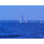 Keyport: : sailboats in the bay