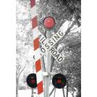 St. Louis: : Tram Crossing Sign At The St Louis Zoo