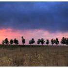 Broomfield: : Broomfield Sunset