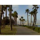 San Diego: : San Diego from Glorietta Bay park